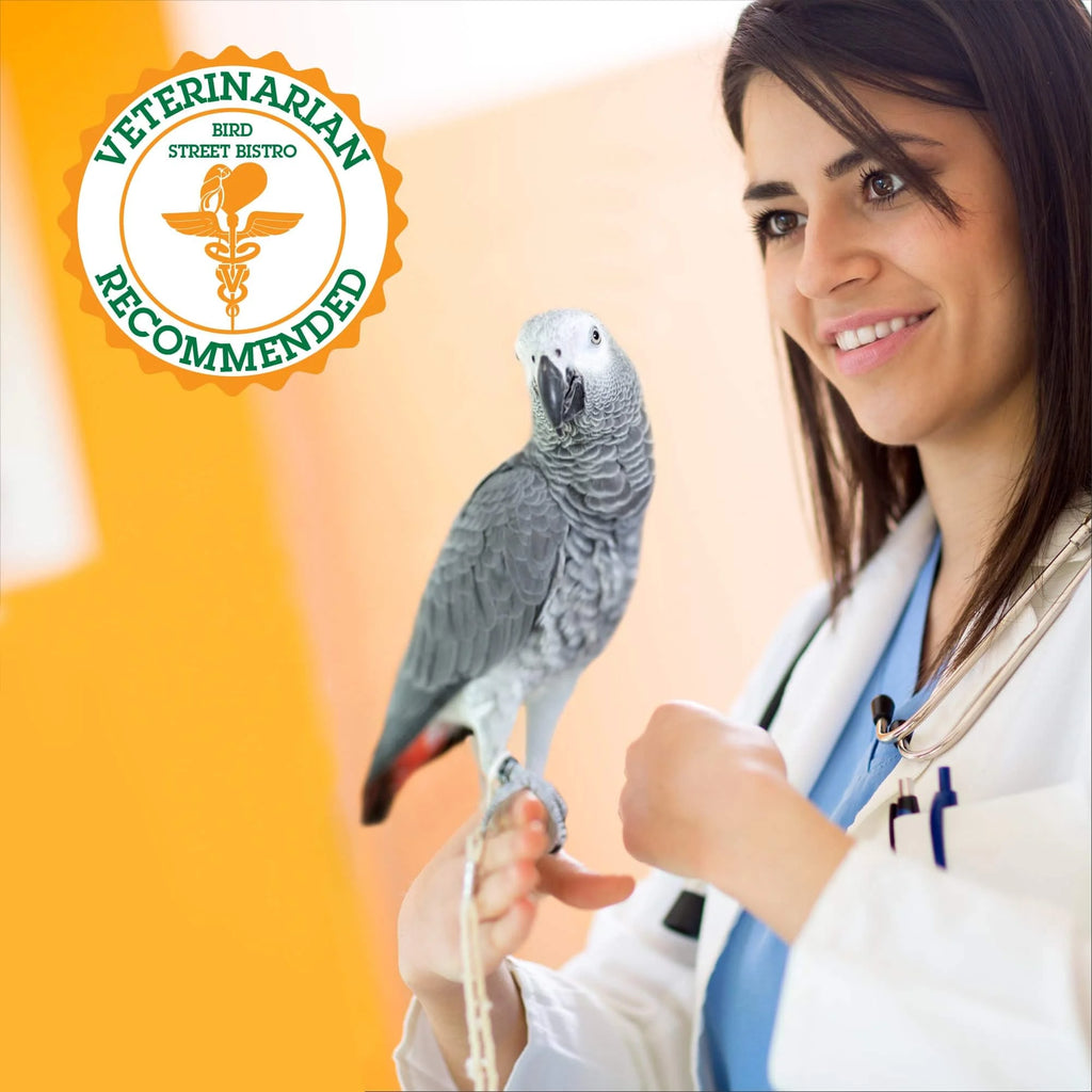 Natural Parrot Food R21649