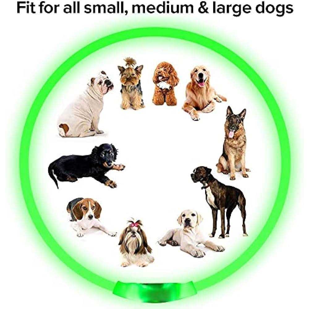 Light Rechargeable LED Dog Collar I2448
