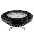 Black Landscape LED PAR36 10W 25 Degree U877089