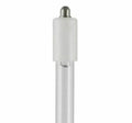 Replacement Bulb 32W F469