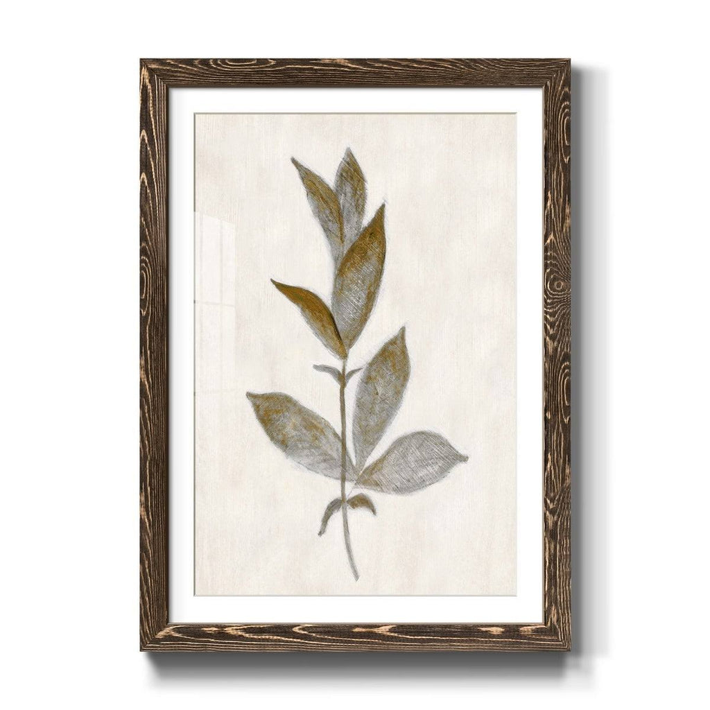 Walnut Framed Print I33156
