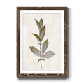 Walnut Framed Print I33156