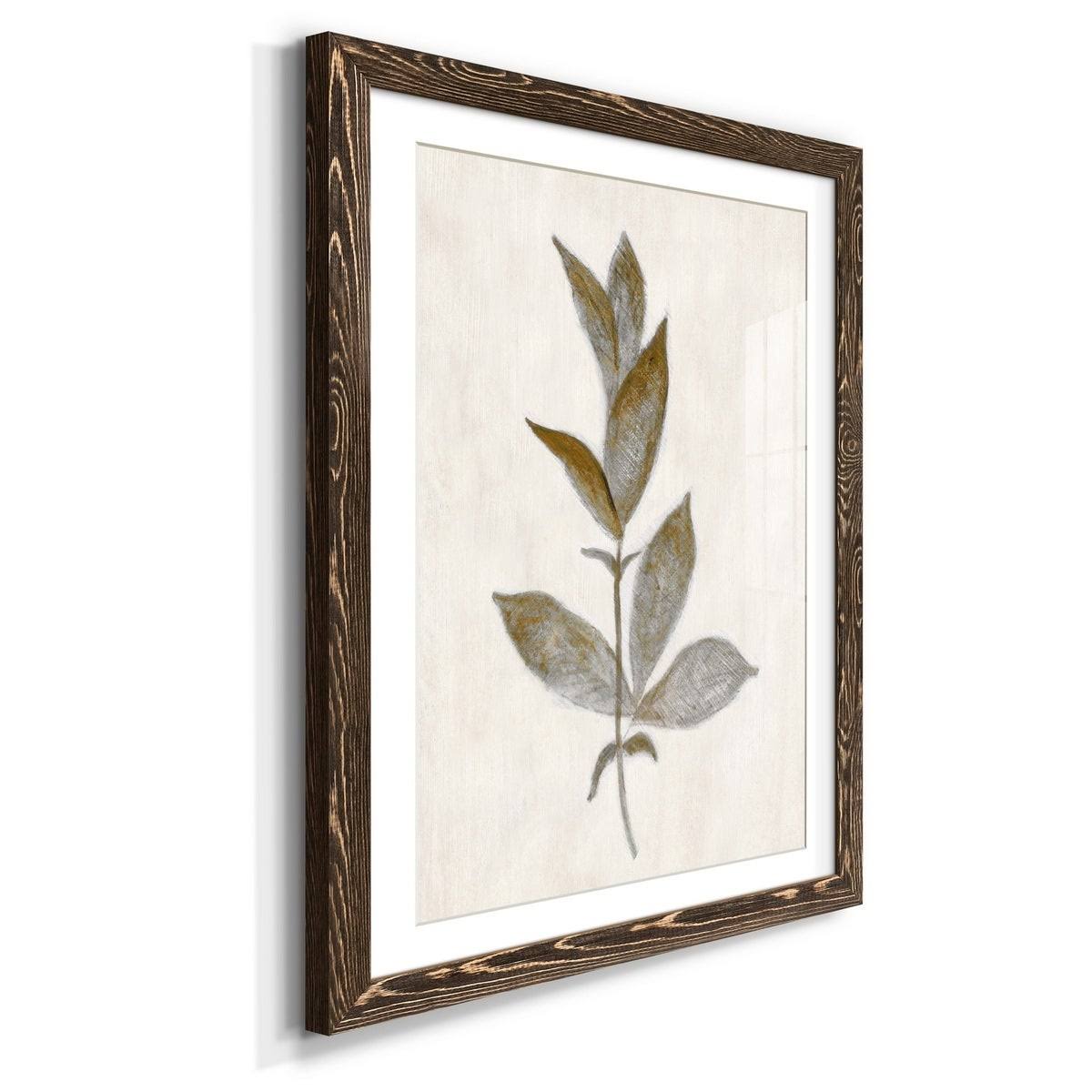 Walnut Framed Print I33156