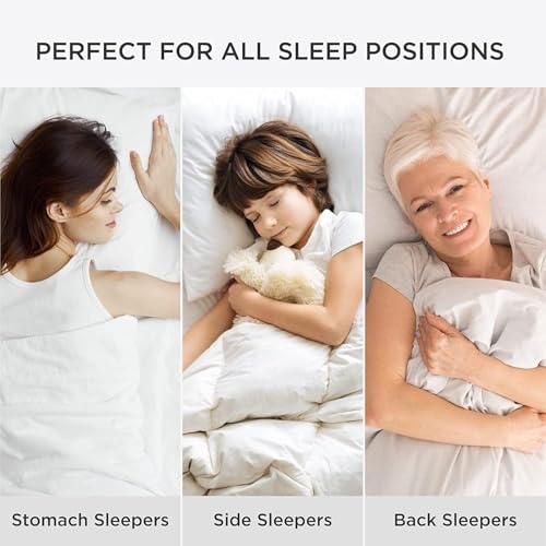 King Size Down Alternative Pillows Set of 2 N474