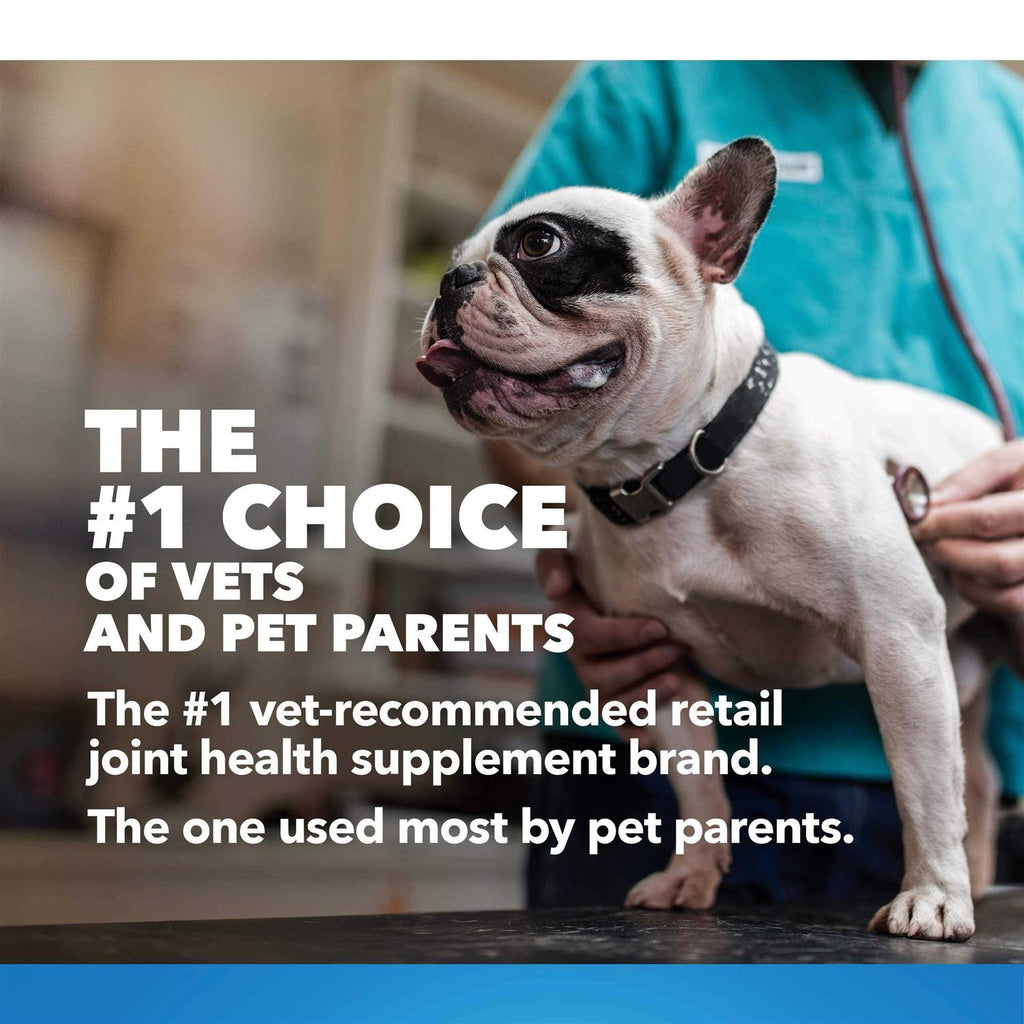 Maximum Strength MSM & HA for Dogs B783