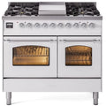 White 40 Dual Fuel Natural Gas Range V404
