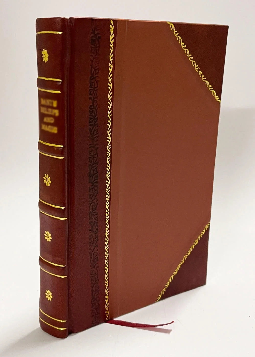 Leather Bound Book V598