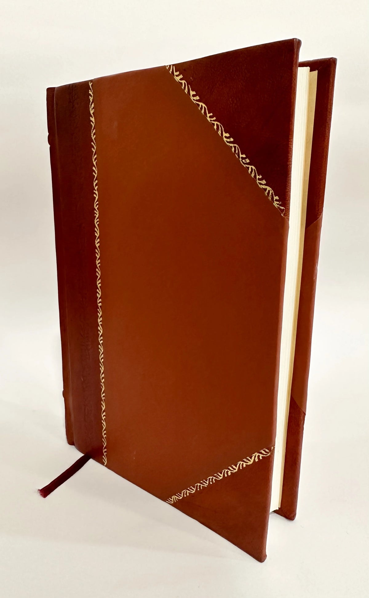 Leather Bound Book V598