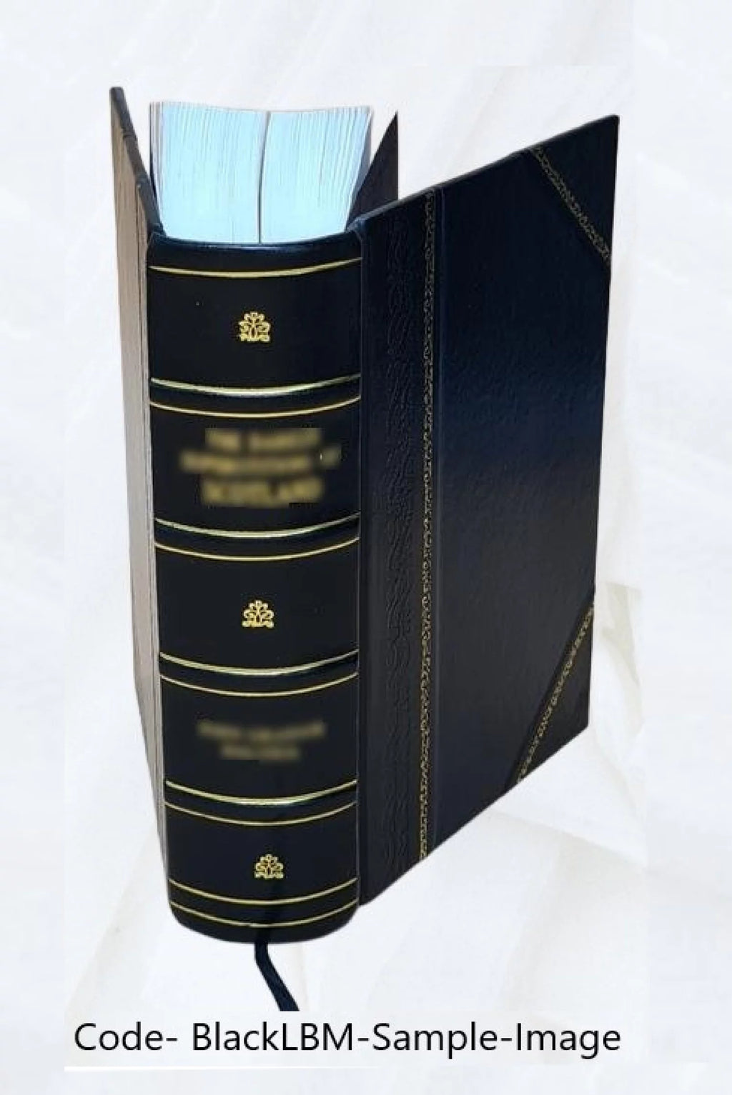 1909 Leather Bound Radioactivity and Electronics Yearbook F372472