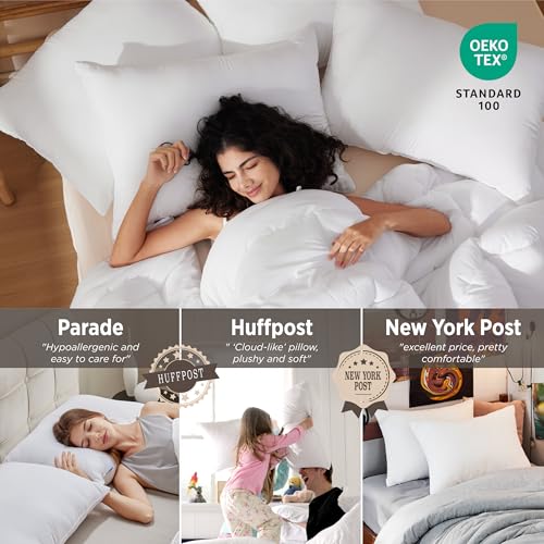 King Size Down Alternative Pillows Set of 2 N474