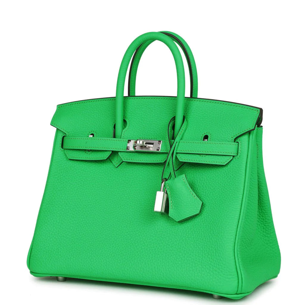 Birkin 25 Togo Palladium Hardware D15040