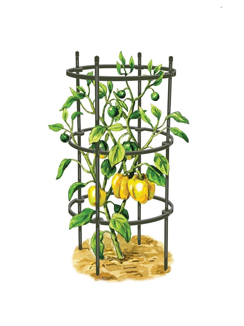 Set of 3 Pepper Eggplant Cages R2372