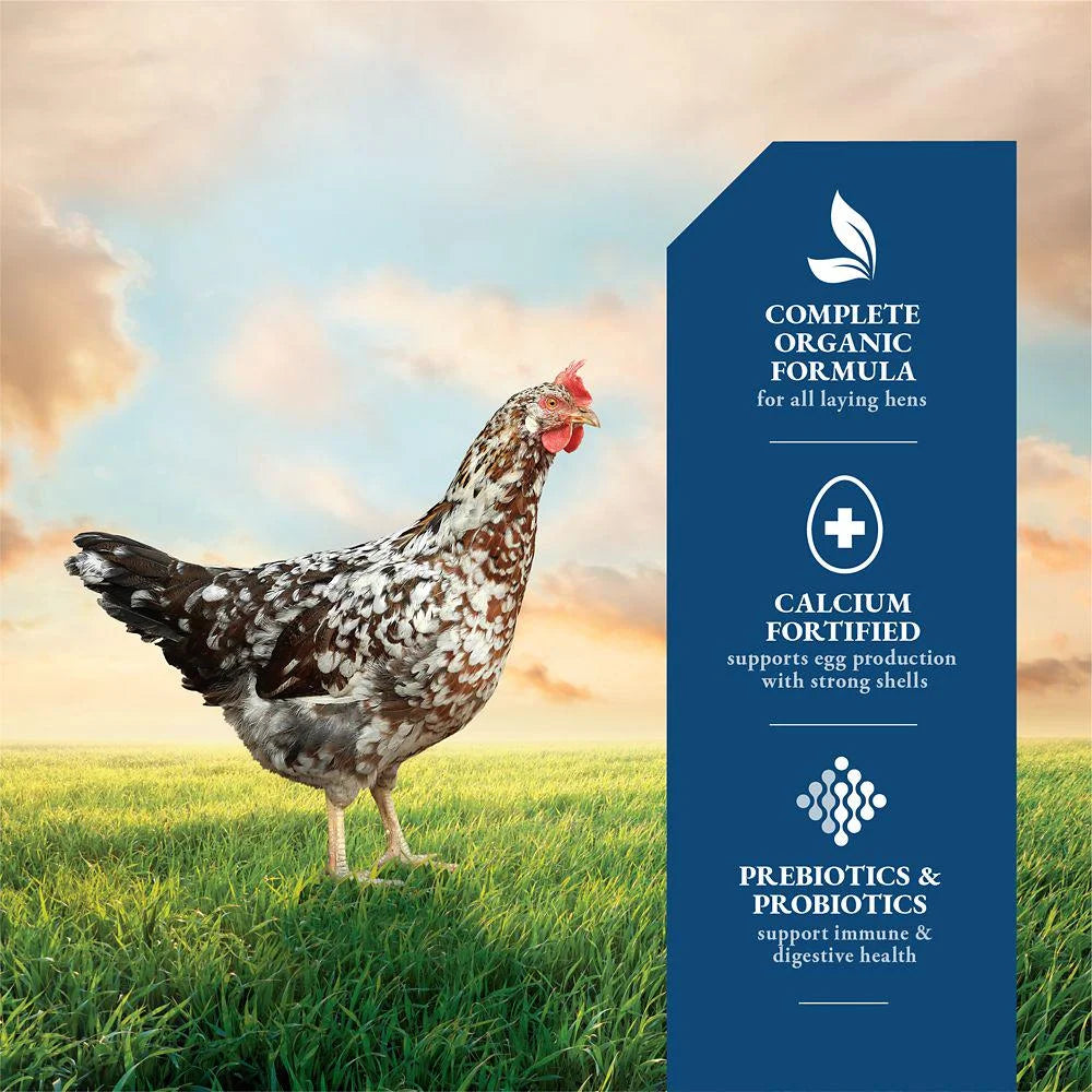 Organic 16% Layer Pellet Chicken Feed, 40 lb. B3431
