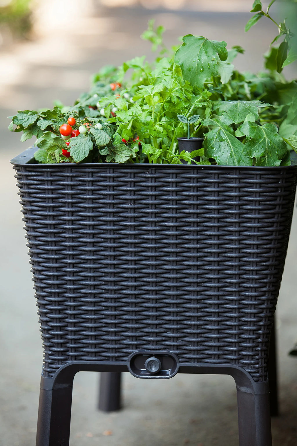 Raised Garden Bed with Self-Watering and Drainage System Z97242