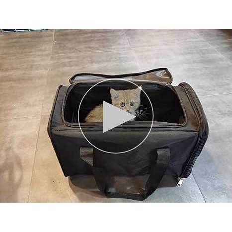 Black 2In 1 Foldable Cat Litter Box T83780
