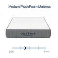 14 Medium Plush Gel Memory Foam Spring Mattress with Pillow, Twin A63614