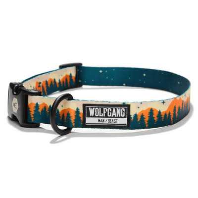 Dog Collar V14687