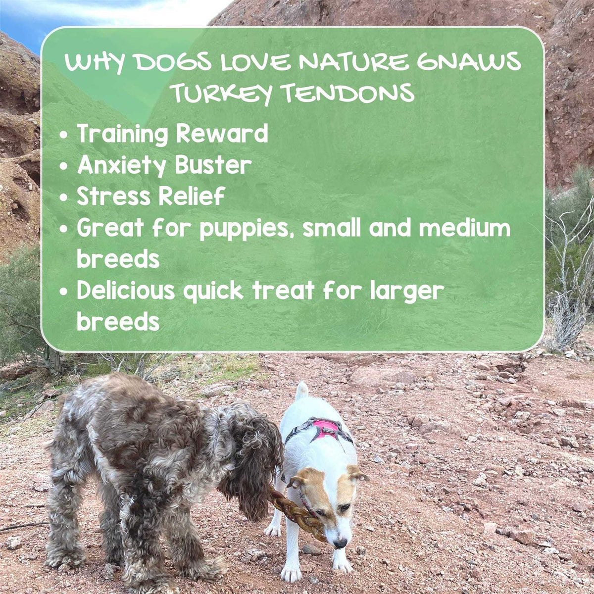 Turkey Tendons Dog Chew Treats A94497