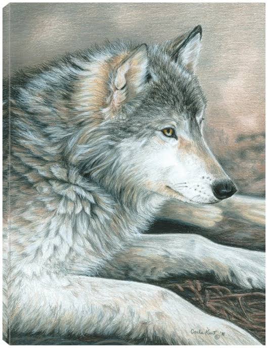 Canvas Art 24x32 T731992
