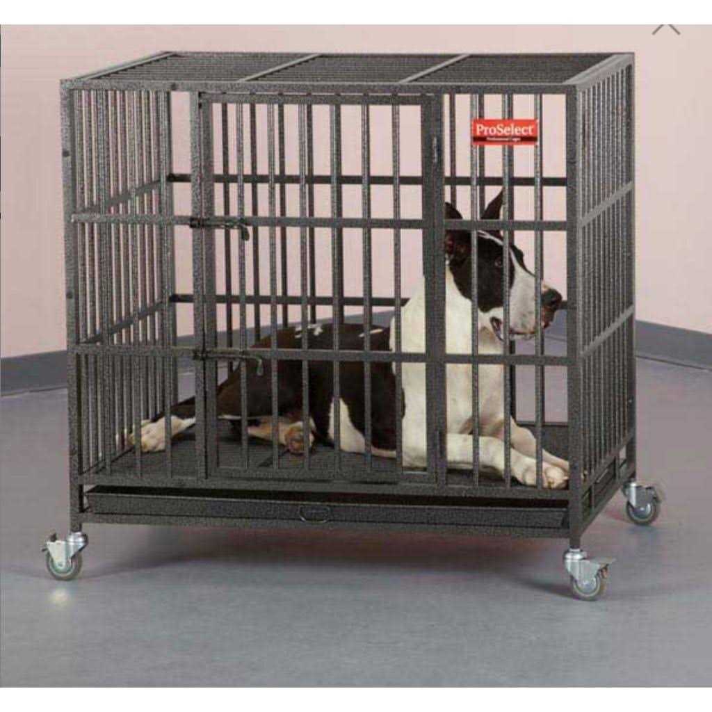 Dog Cage O84340
