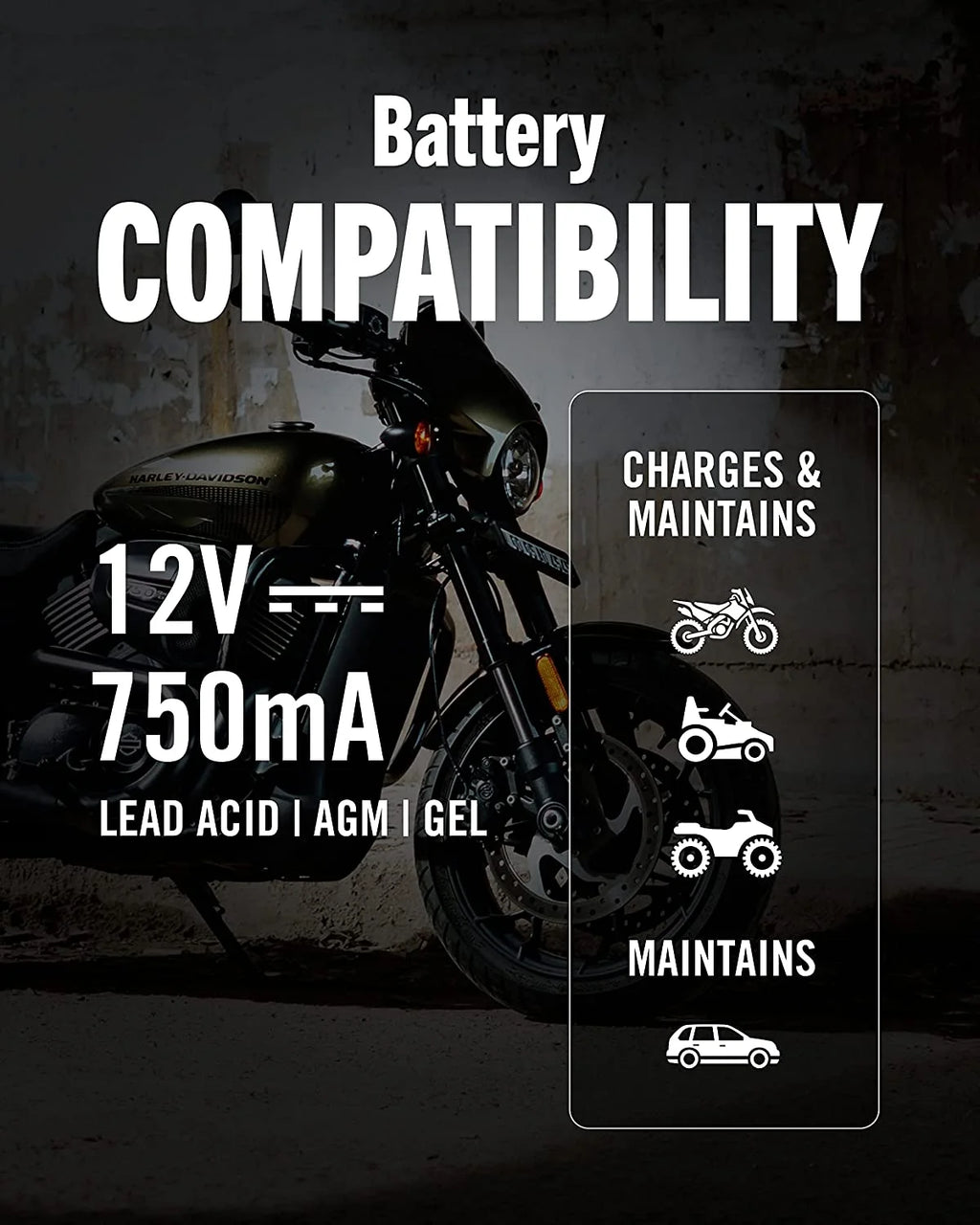 12V 750mA Automatic Battery Charger and Maintainer Q634990