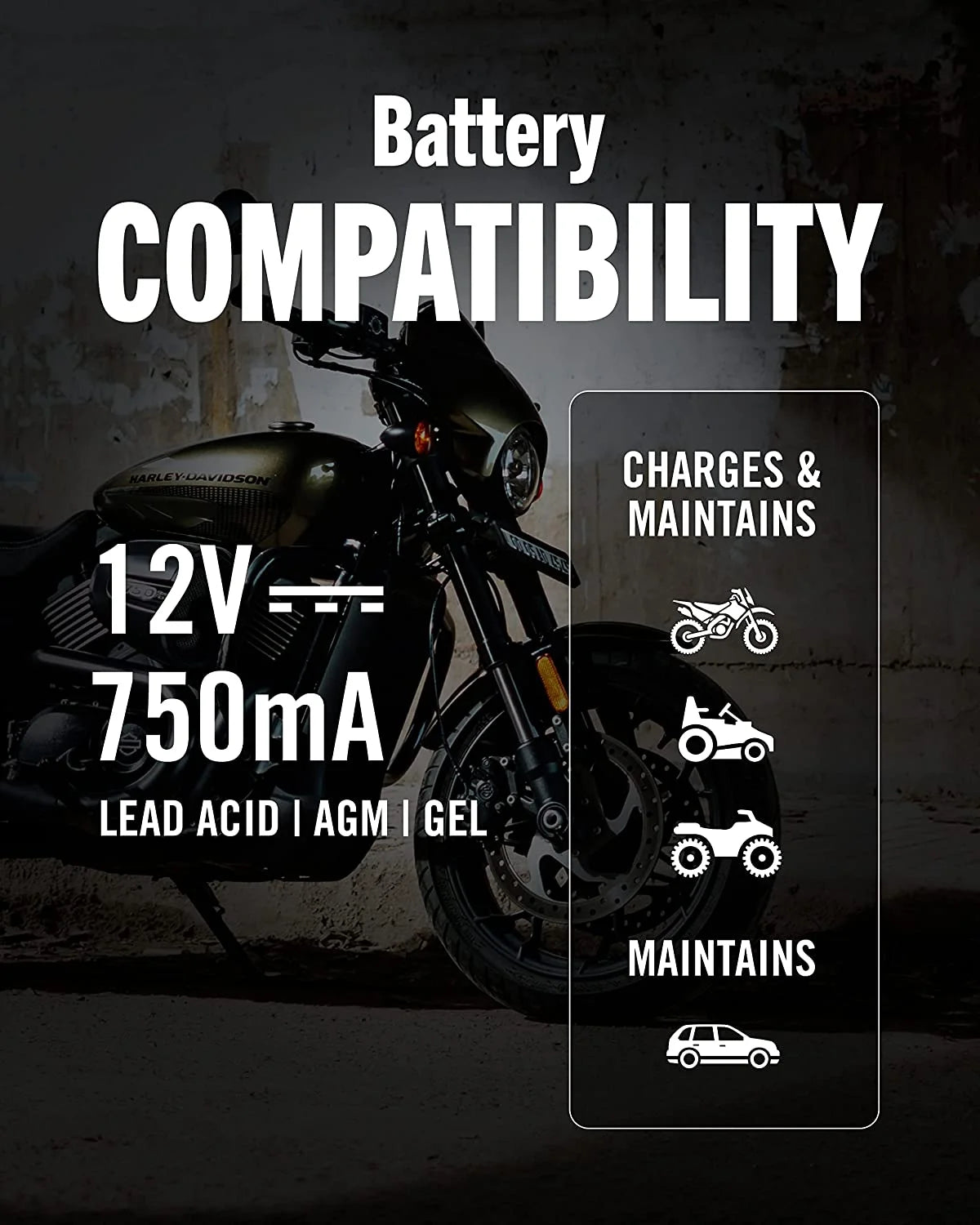 12V 750mA Automatic Battery Charger and Maintainer Q634990