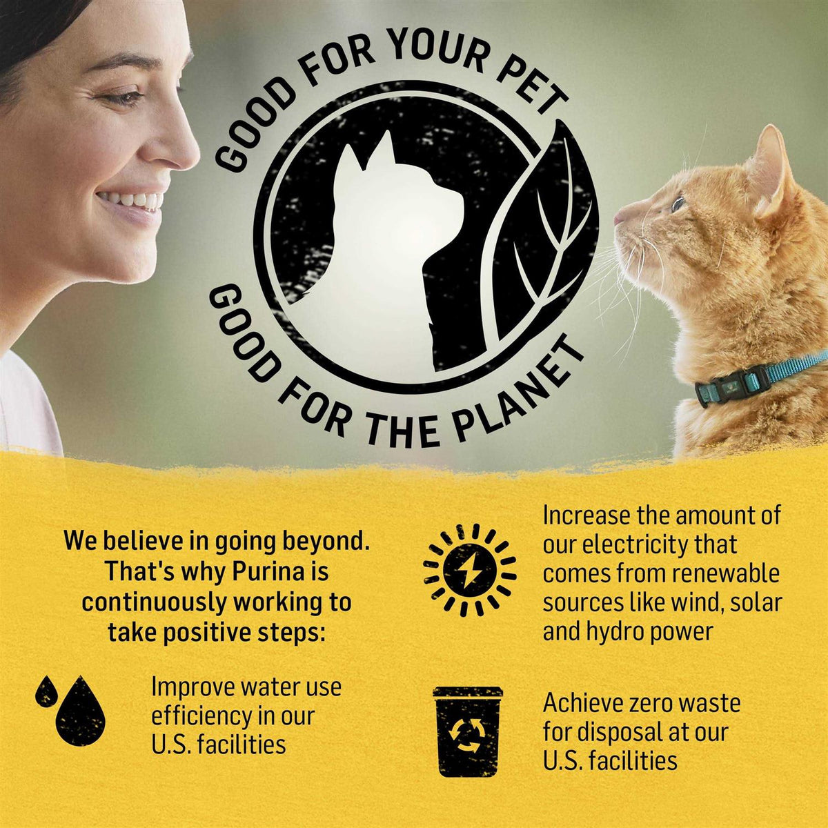 Cat Dry Food F88294