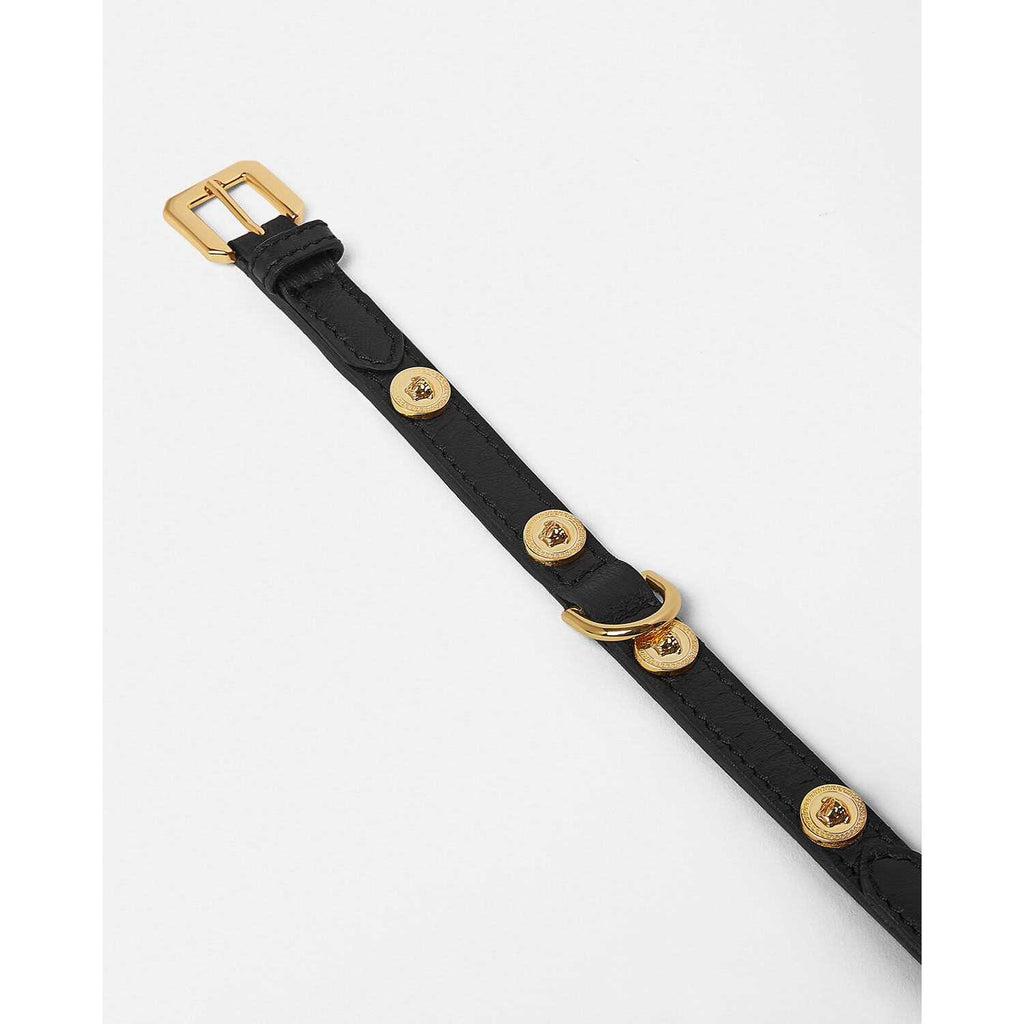 Small Pet Collar K547023