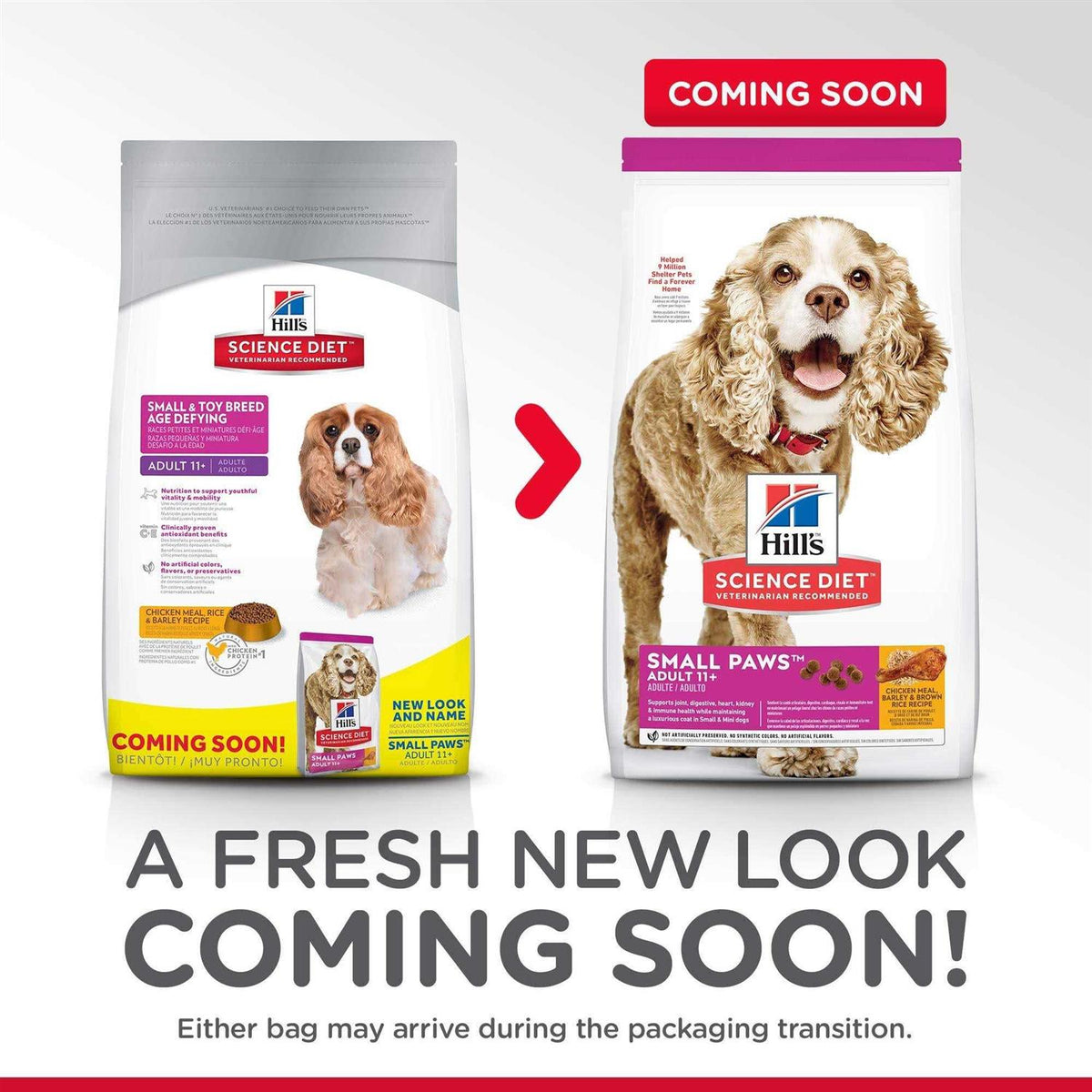 Small Dog Food E526983