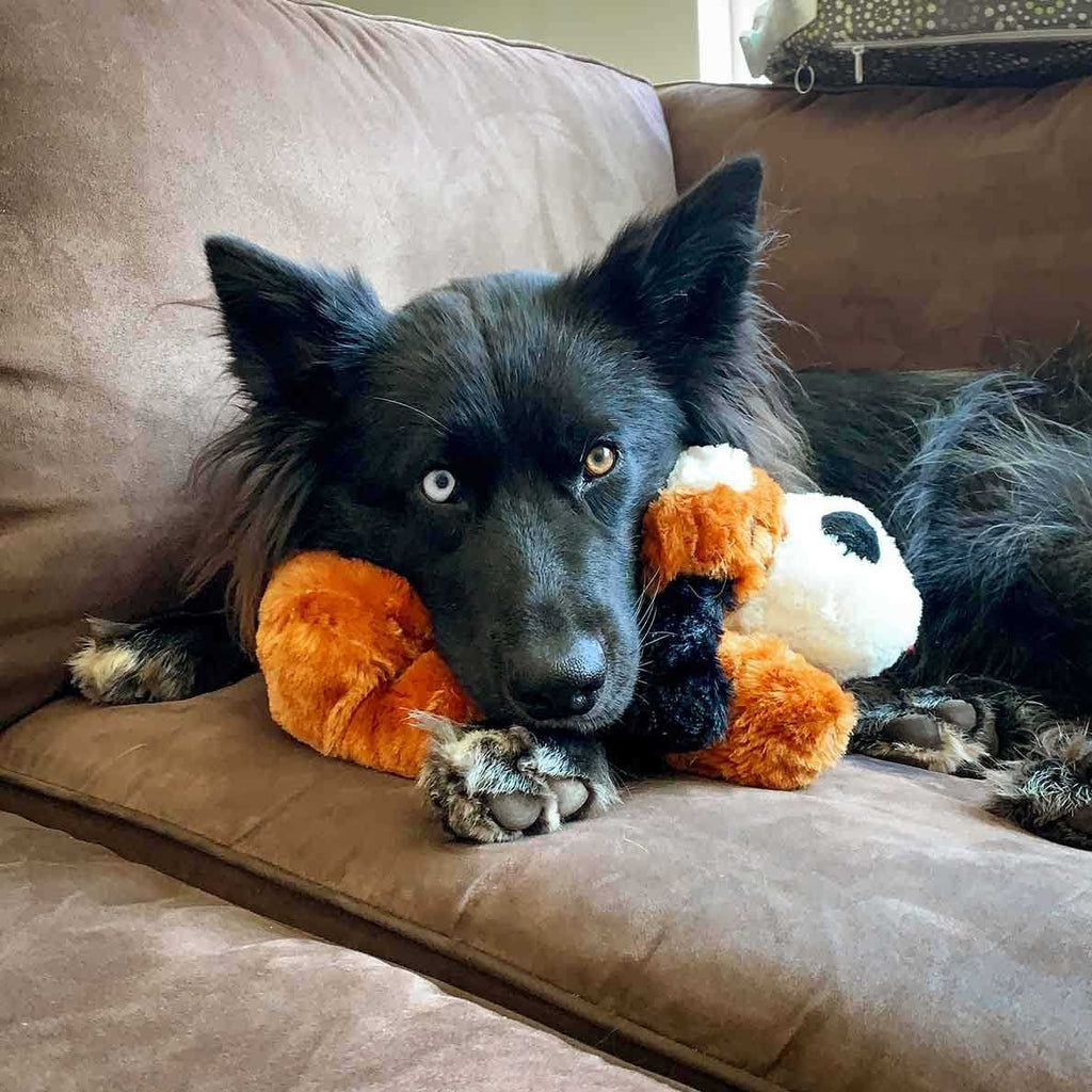 Behavioral Aid Toy E3040