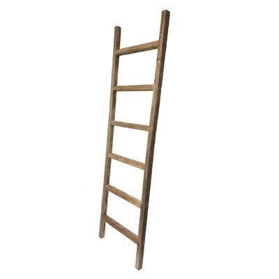 Gray Wood Ladder Bookcase 6 Shelves T861
