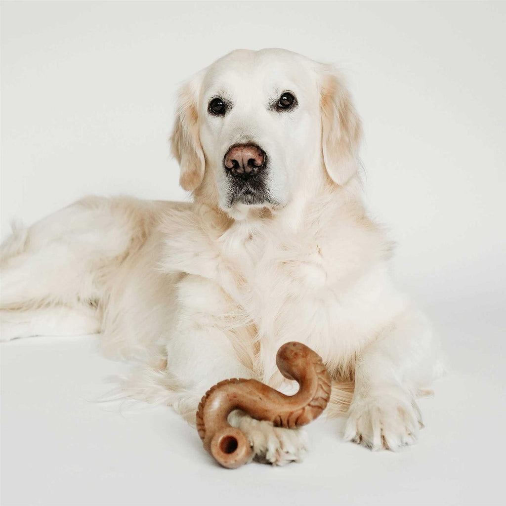 Dog Chew N381