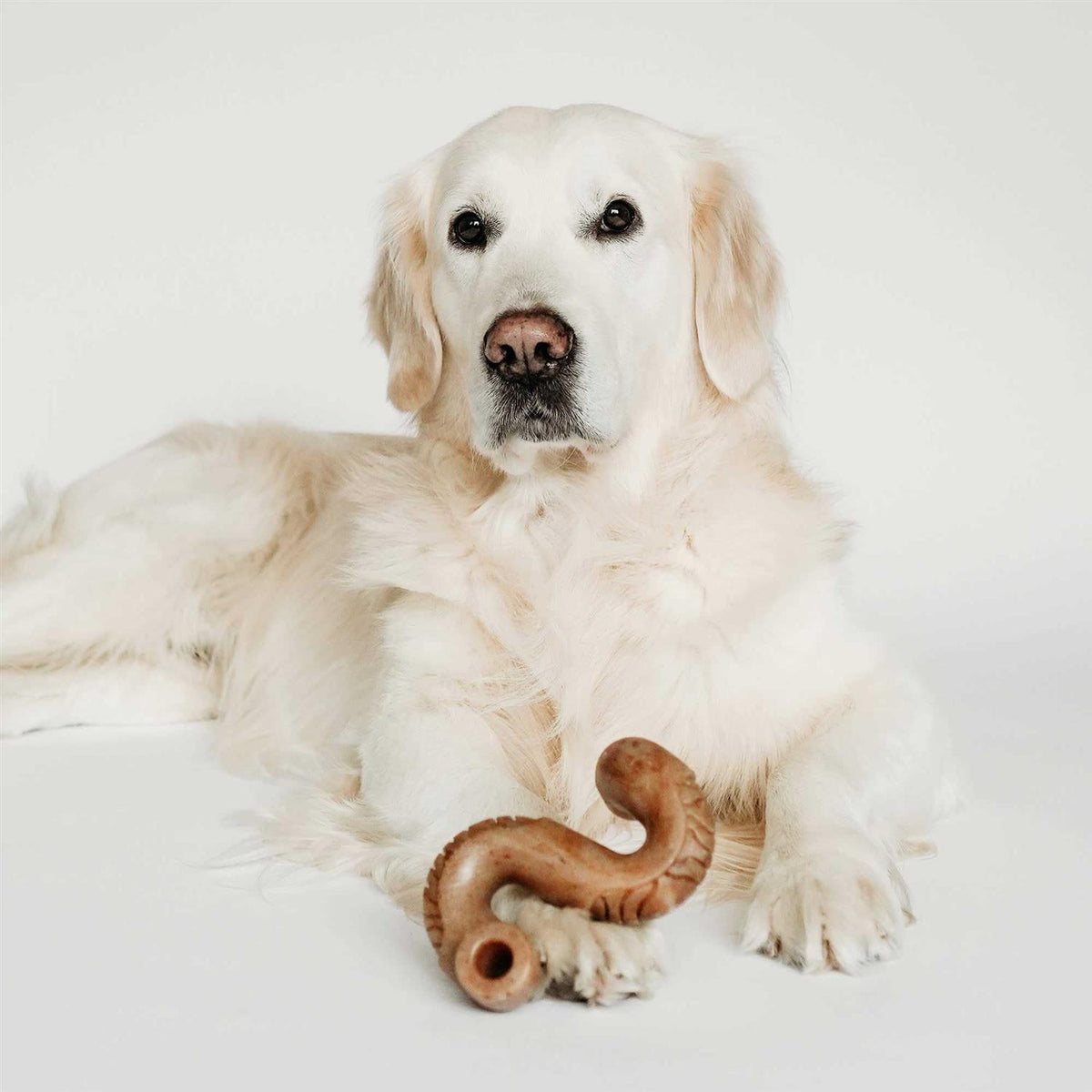 Dog Chew N381