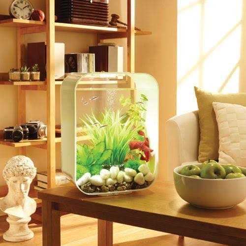 15 Aquarium with Standard Light T2872
