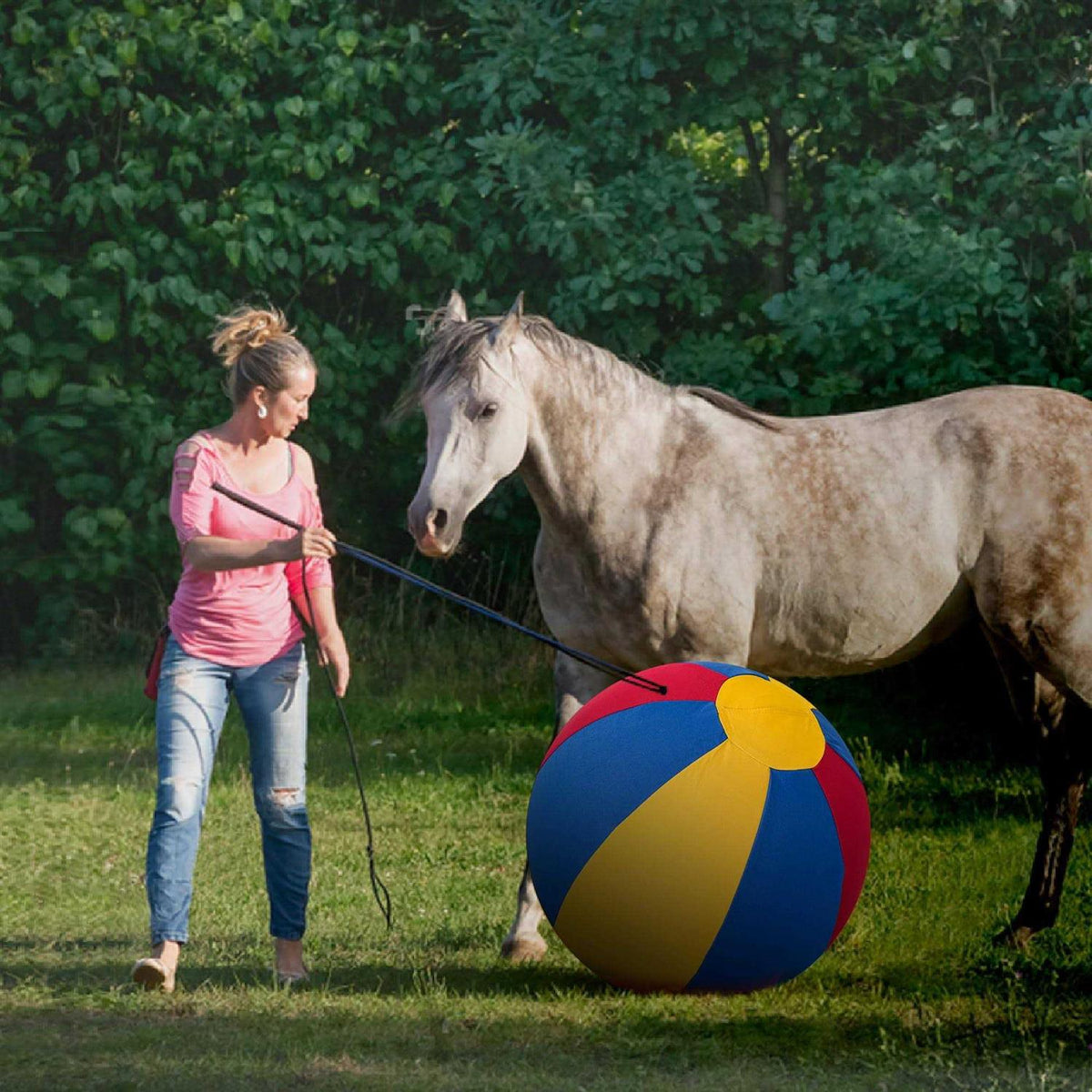Herding Ball for Horses with Hand Pump Y137