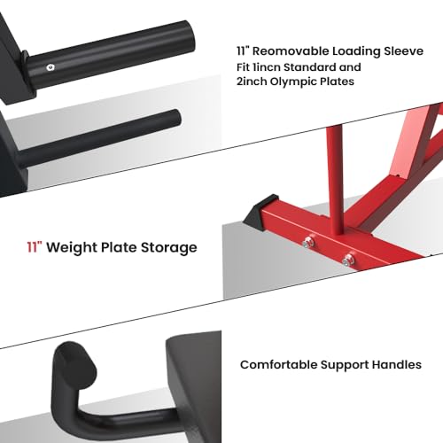 Adjustable Plate Loaded Leg Extension and Leg Curl Machine K219278