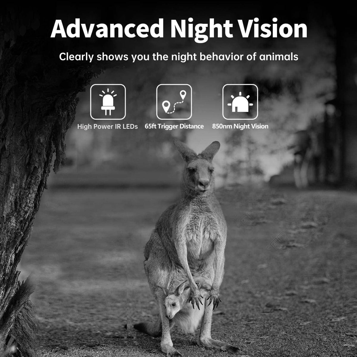 4K 32MP Trail Camera with Night Vision 65ft 110° Wide Angle W2009