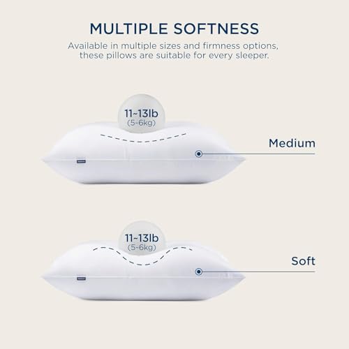 King Size Down Alternative Pillows Set of 2 N474