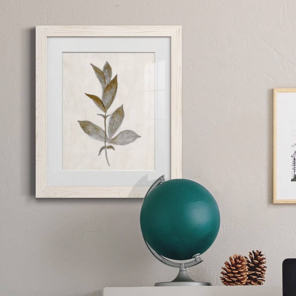 Walnut Framed Print I33156