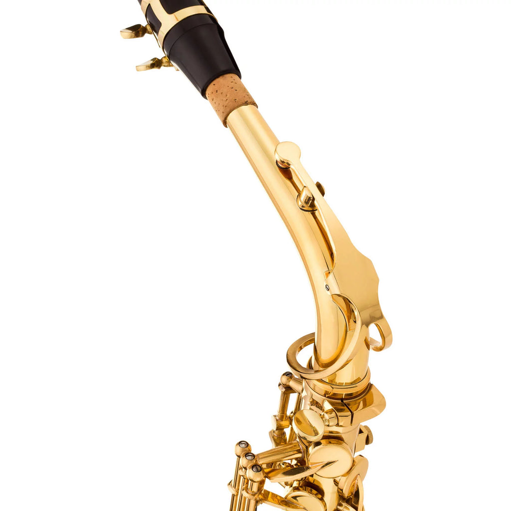 Intermediate Alto Saxophone with Case E298365