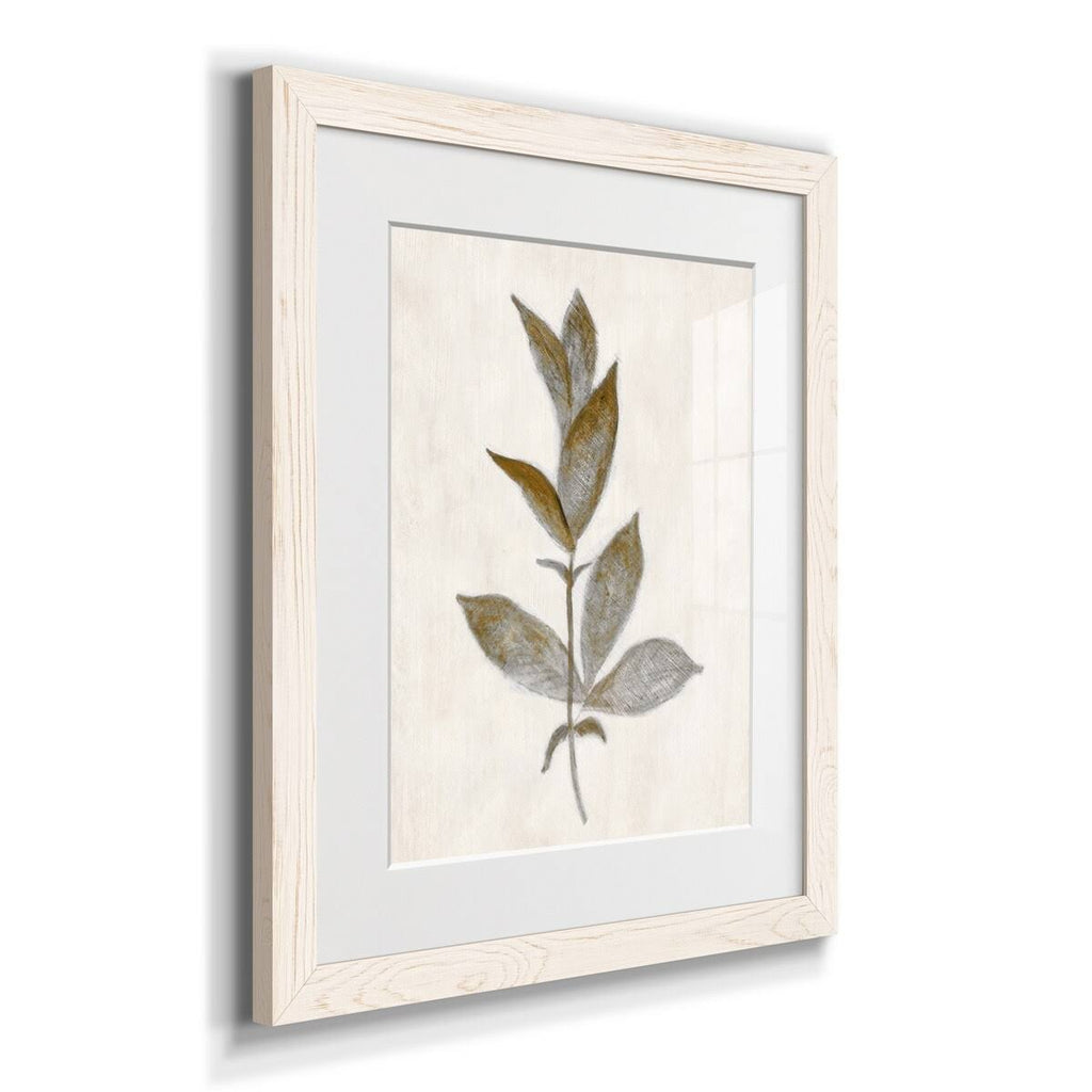 Walnut Framed Print I33156