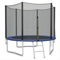 10ft Trampoline with Enclosure Net and Ladder D472