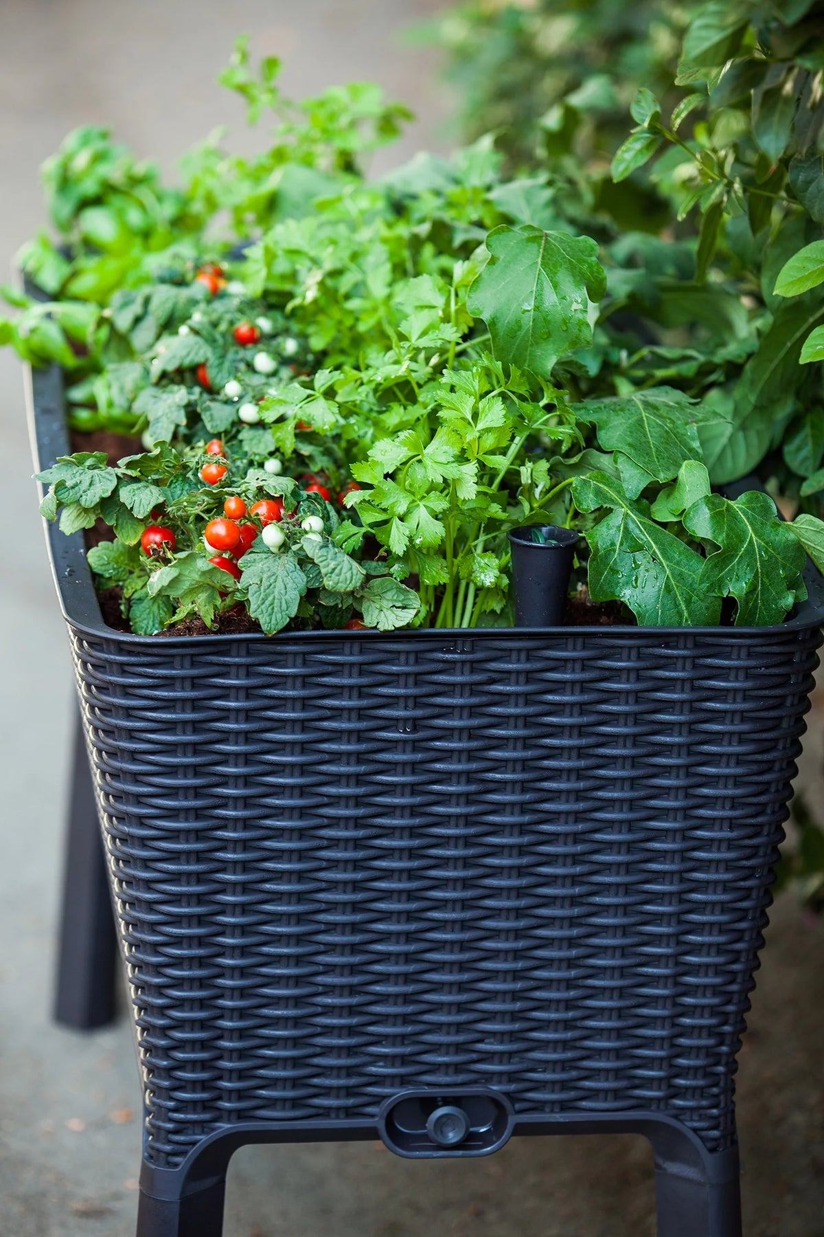 Raised Garden Bed with Self-Watering and Drainage System Z97242