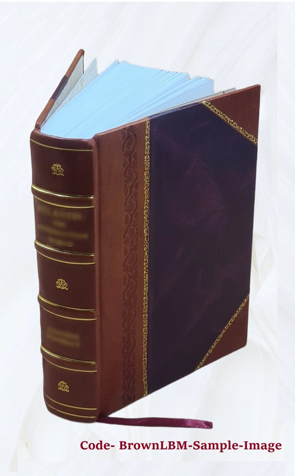 1909 Leather Bound Radioactivity and Electronics Yearbook F372472