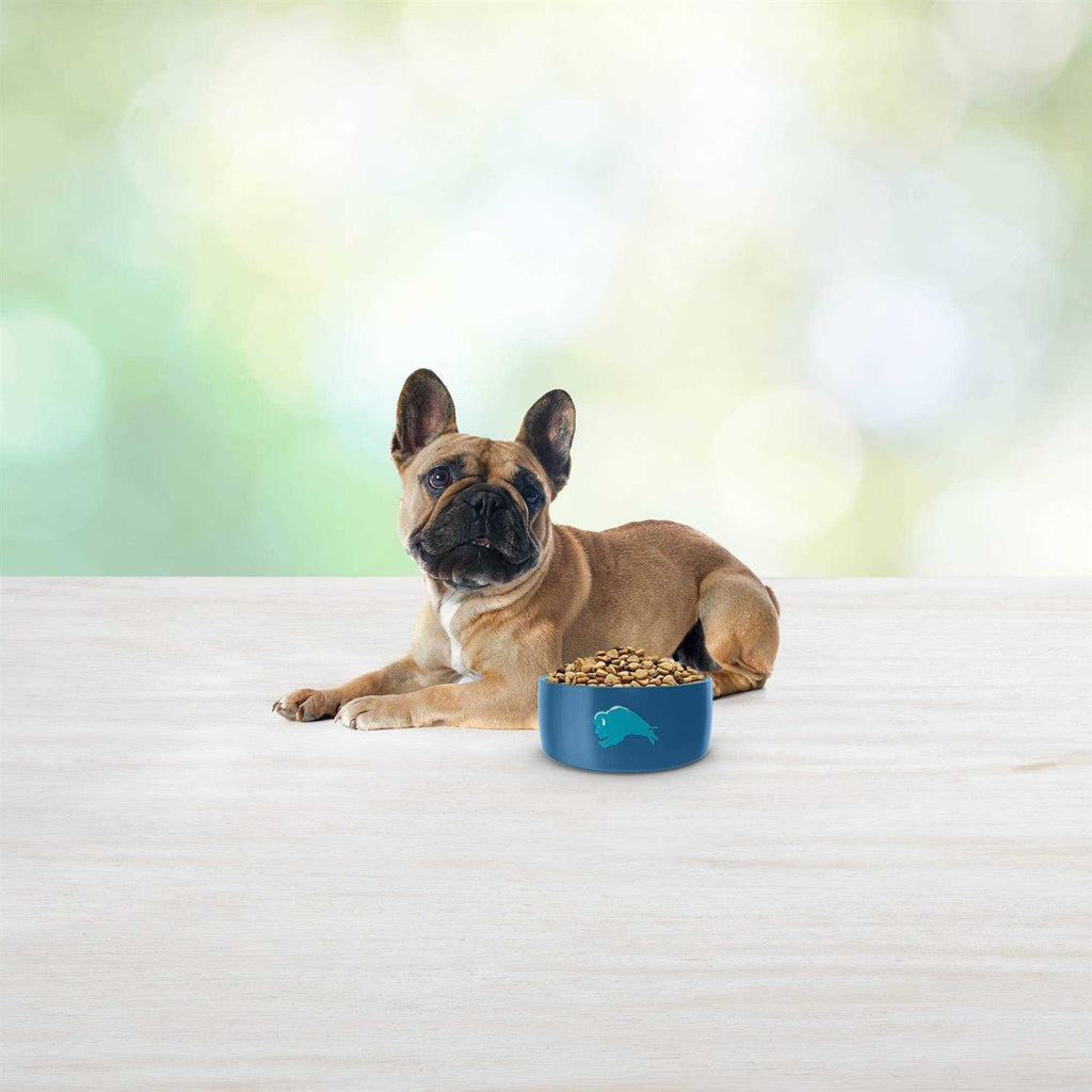 Dog Food X67919
