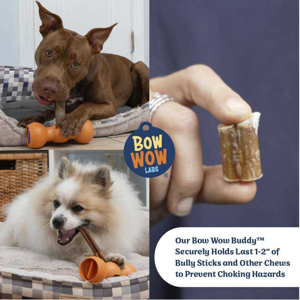 Bully Buddy Bully Stick Holder Starter Kit M930618