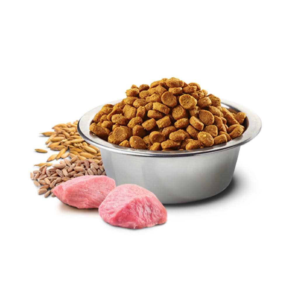 Chicken & Pomegranate Adult Dry Cat Food M3270