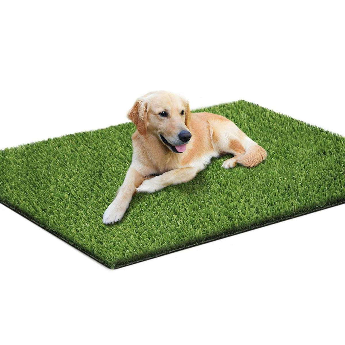 39.4 x 31.5 Inches Washable Artificial Grass Rug X803990