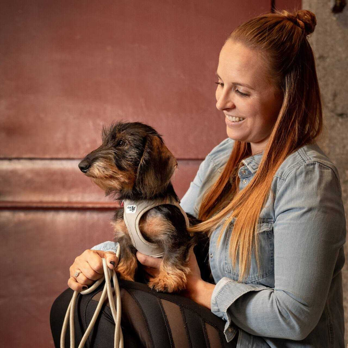 Air-Mesh Dog Harness H809