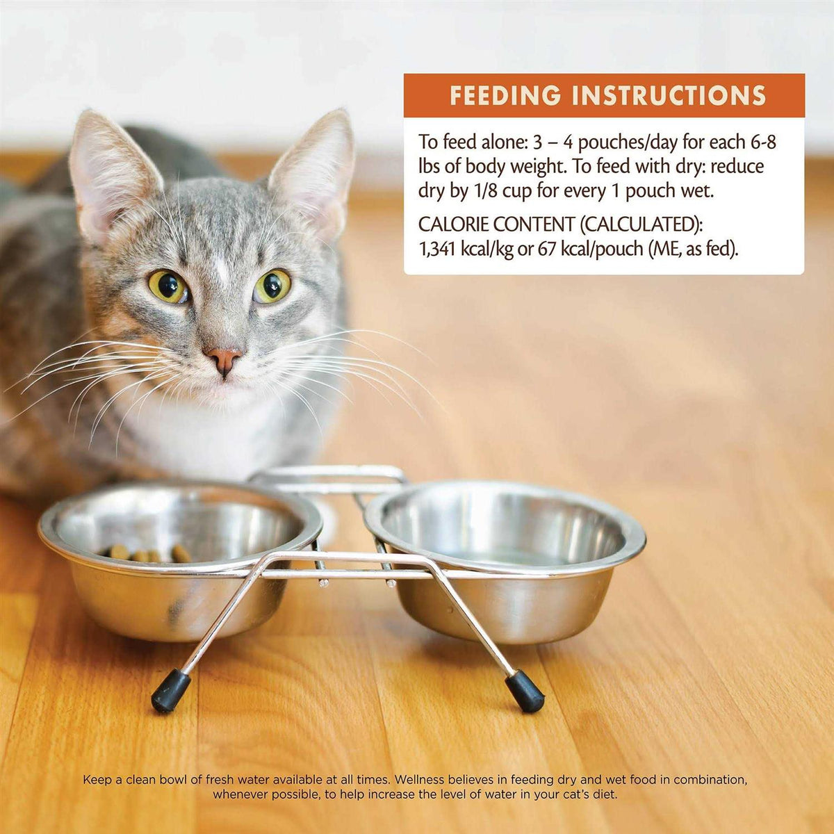 Wet Cat Food R26735